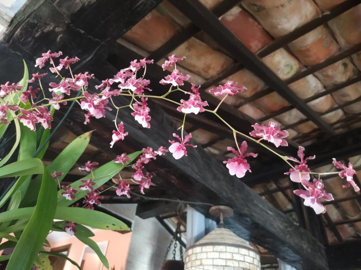 Casa de hóspedes Casa Da Tatá Búzios
